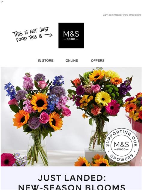 marks and spencer plants for sale.